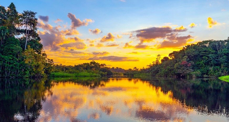 Yasuni National Park, Orellana Province, Ecuador
